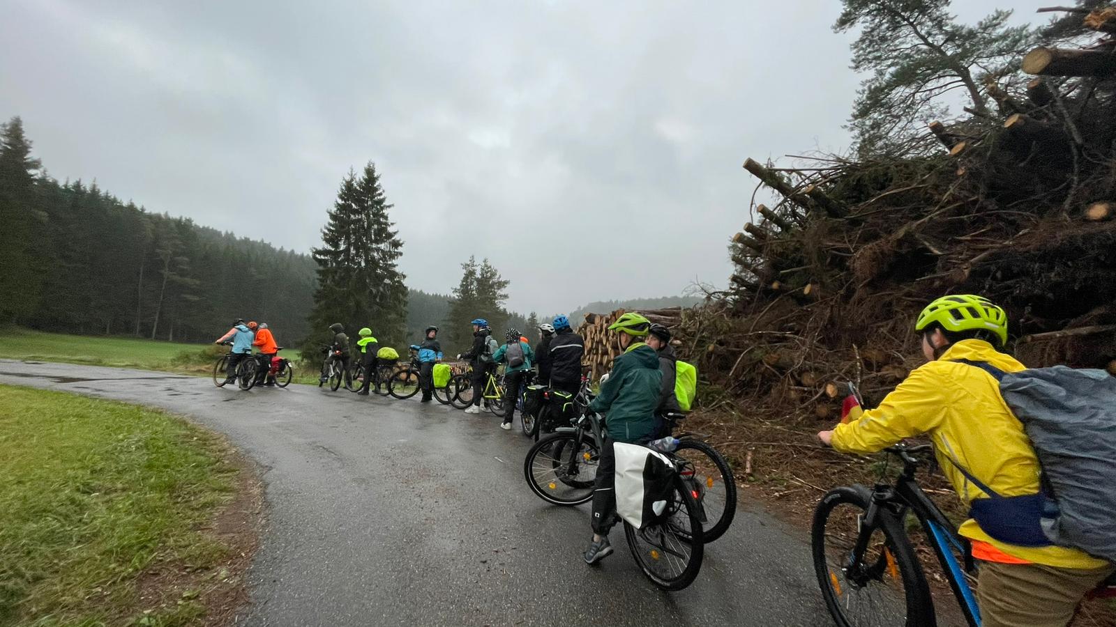 Gruppenbild, Sch&uuml;ler auf Fahrr&auml;dern machen halt, im Hintergrund ein Holzhaufen
