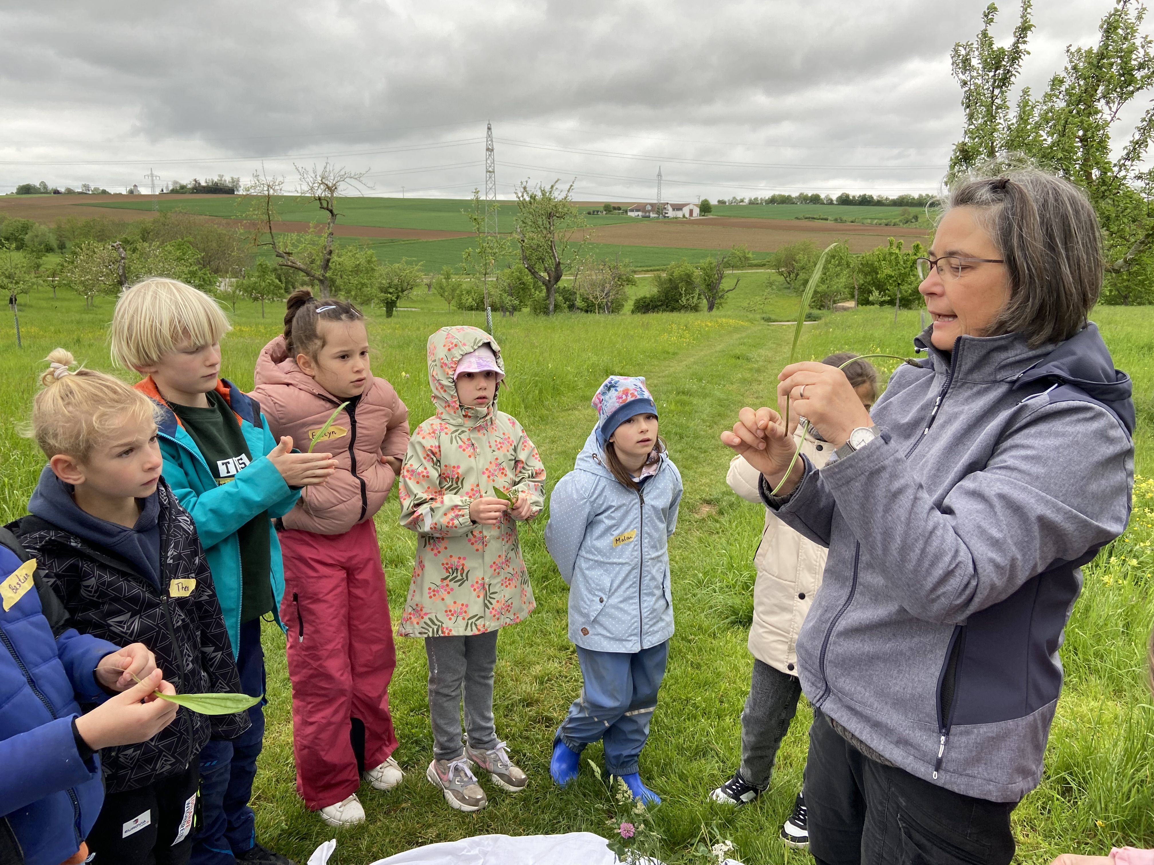 Bildbeschreibung: Eine Frau zeigt Kindern eine Wiesenblume.